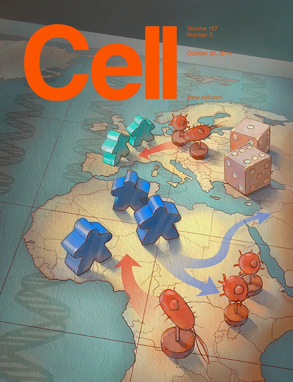 Cell cover