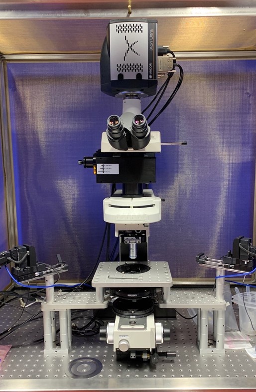 Nikon Electrophysiology Upright Microscope (Ginny)