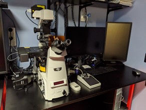 Nikon Eclipse Inverted Fluorescent Microscope (Hedwig)