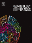Neurobiology of Ageing publication