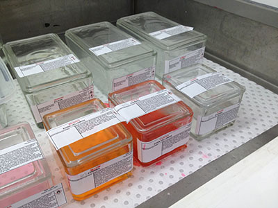 Histochemical staining equipment