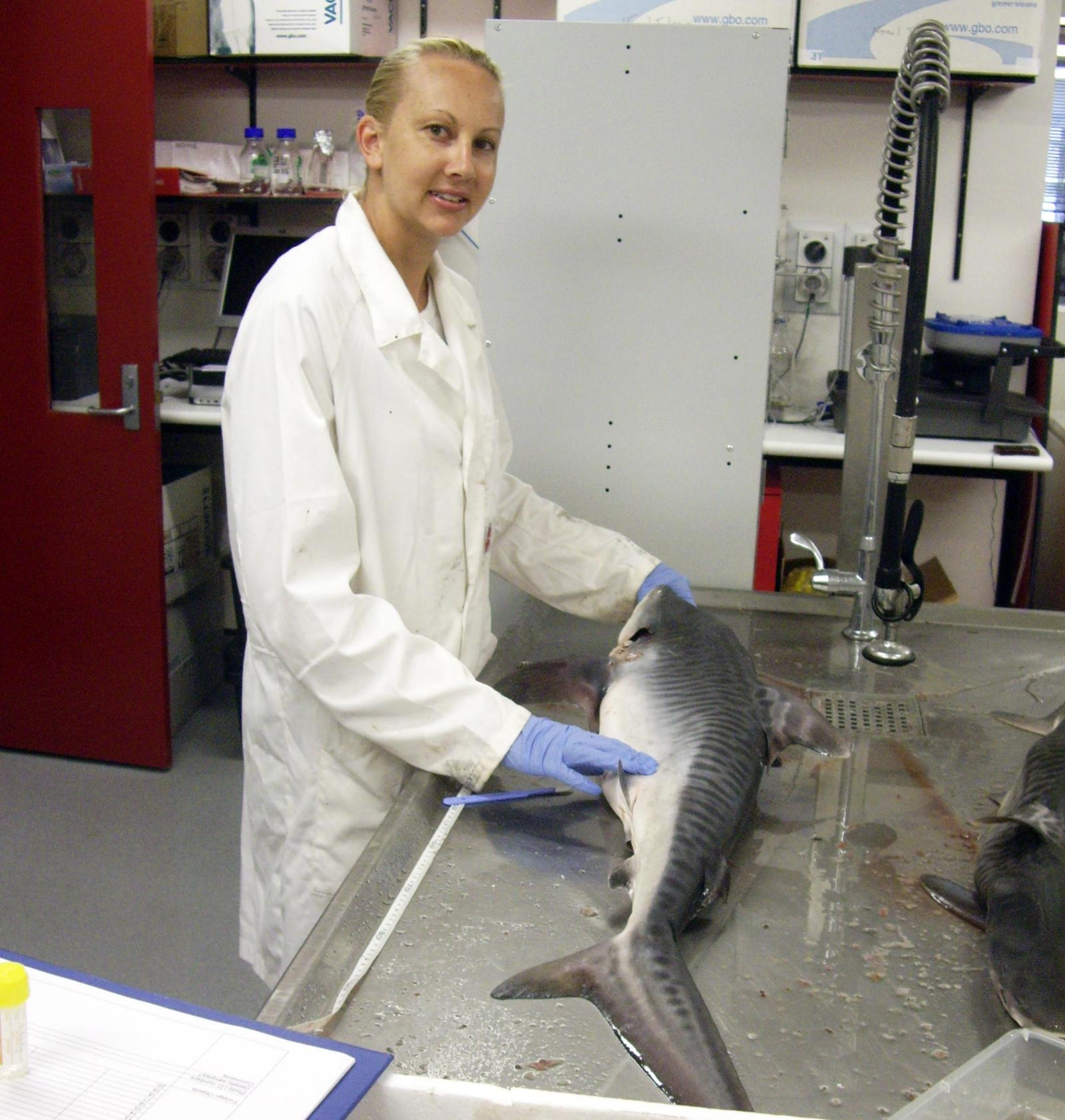 Dr Holmes with shark in lab