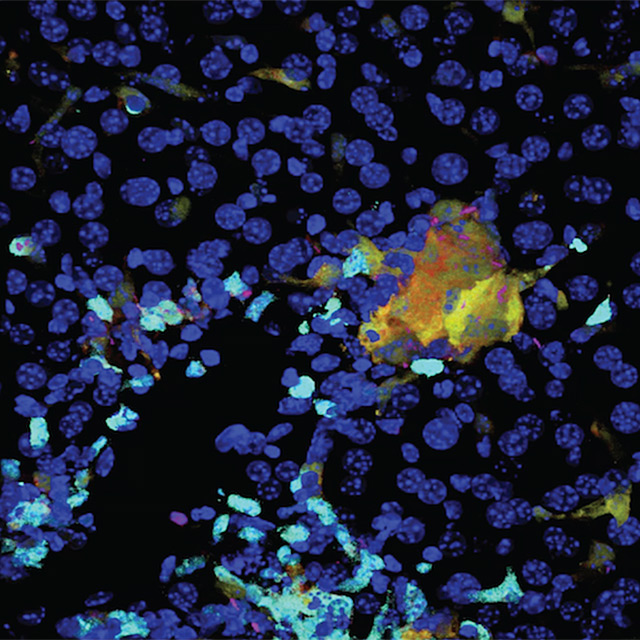 Imaging facilities School of Biomedical Sciences University of