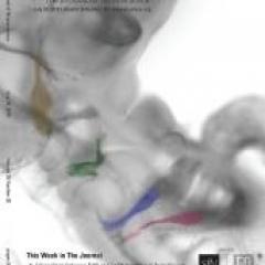 Journal of Neuroscience Publication