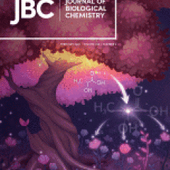 JBC cover