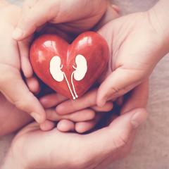 New treatment approach for kidney disease in heart failure