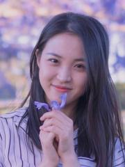Rui Li