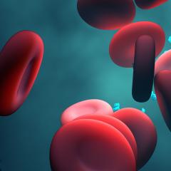blood cells