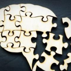 Critical brain link could explain how Alzheimer's takes hold