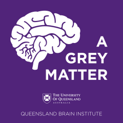A grey matter
