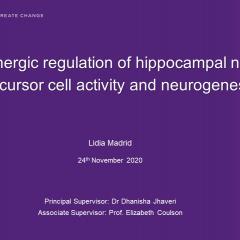 Lidia's title slide