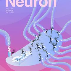 Neuron cover