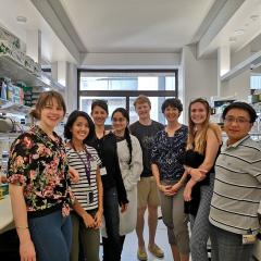 Farewell to Romane