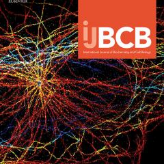 iJBCB cover