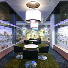 A Century of Pathology Specimens 