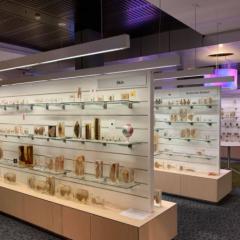 University Museums: A Reflection