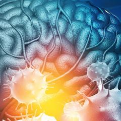 Brain inflammation