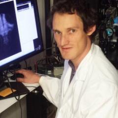 Dr Michael Taylor